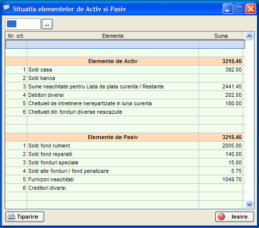 Ecranul in care este afisata o lista care contine pozitiile si sumele aferente lor din situatia elementelor de activ si pasiv